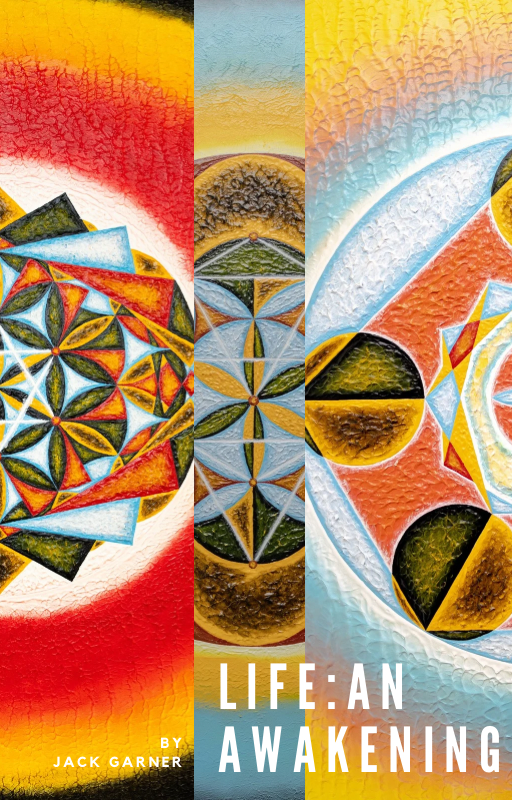 LIFE: An Awakening ebook